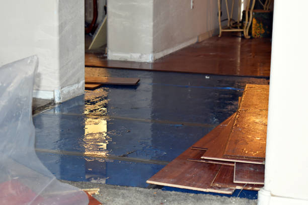 Professional Emergency Water Damage Restoration technician working in Runge, TX